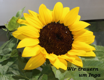 Wir trauern ...
